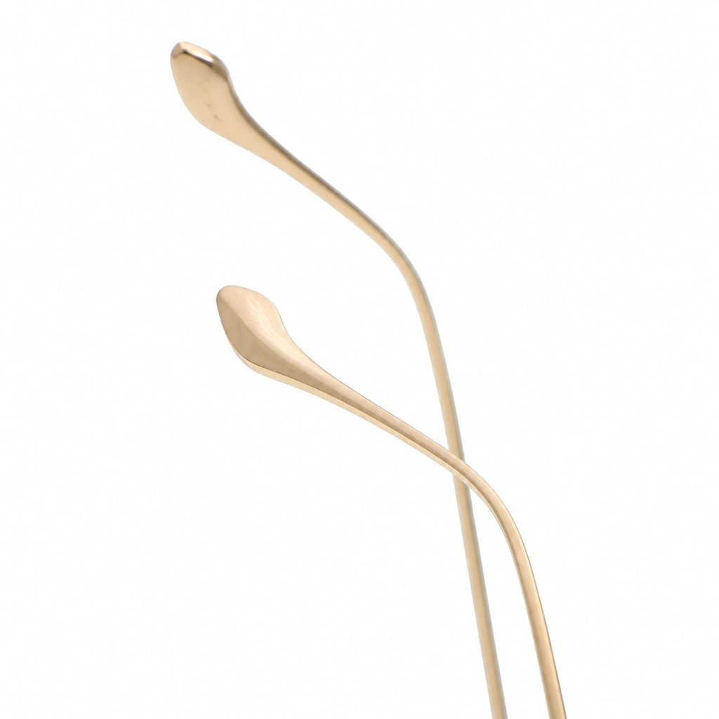 V5040T Eyeglasses - details