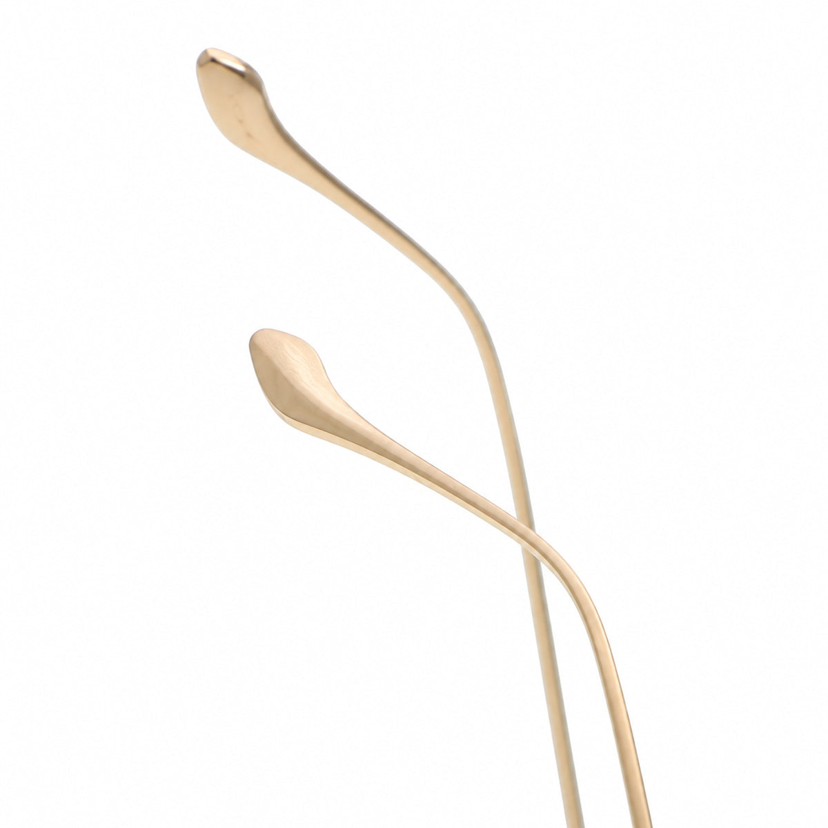 V5040T Eyeglasses - details