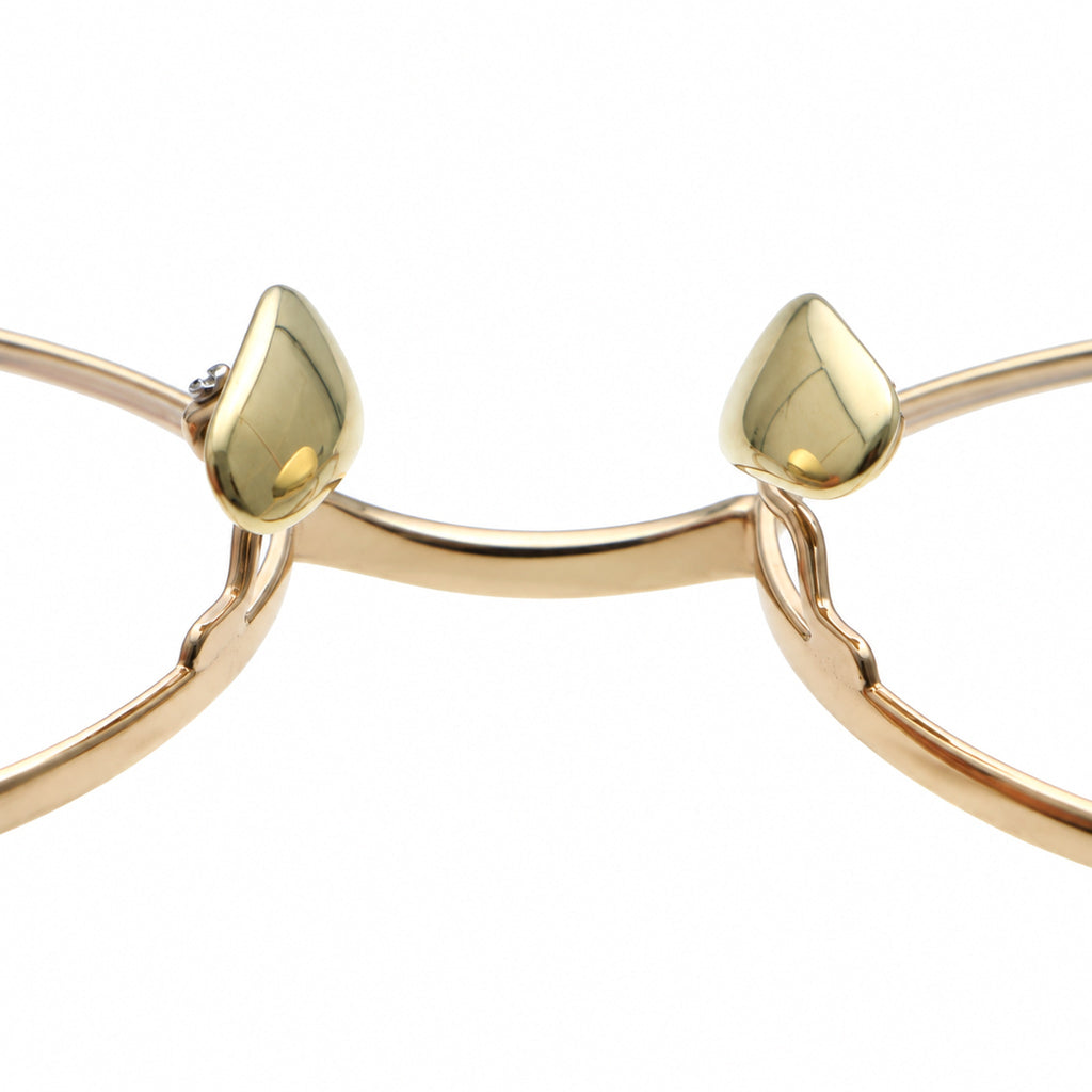 V5040T Eyeglasses - details